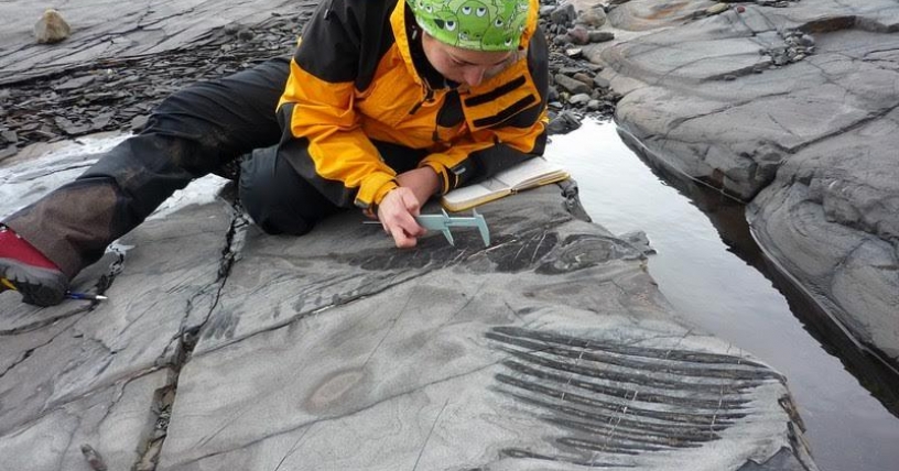 En Torres del Paine se halla dinosaurio con cinco embriones de gran tamaño